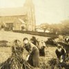 Wyke Harvesting 1918